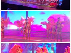 iphone_upload_pic-南风大剧院莎梦二人转剧场