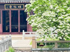 -苏州文庙(姑苏区)