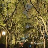 夜游南湖[调皮]