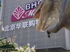 -北京华联购物中心(天通苑店)