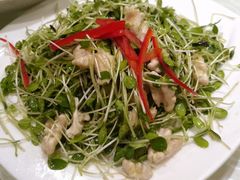 核桃仁拌香椿苗-老宅门(永泰店)