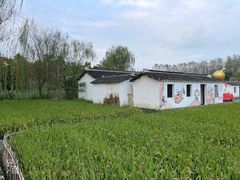 -溱湖国家湿地公园