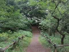 -井之头恩赐公园