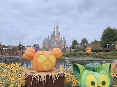 -上海迪士尼度假区