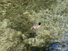 -水磨沟公园