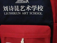 -刘诗昆艺术学校(一品天下校区)