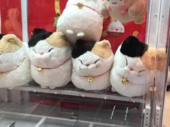 -LLJ夹机占(正佳广场店)