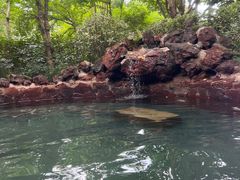 -苏州湾·王焰温泉