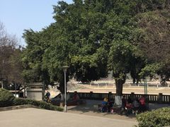-中国宜宾·长江地标广场