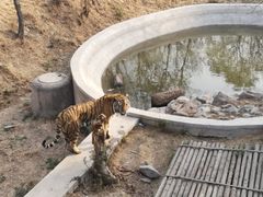 -石家庄市动物园