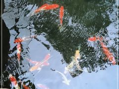 -云溪植物园