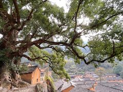 -杨家堂村