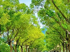 -东钱湖旅游度假区