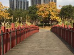 -南翔镇银翔湖公园