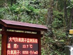 -牛背梁国家森林公园