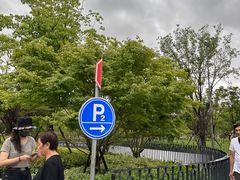 -蟠龙天地-P2停车场