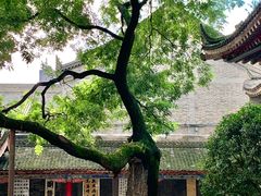 -关中书院