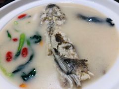 养颜白汁河豚-肆月河豚·新淮扬(金融街店)