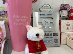 -瑞派·关忠动物医院·猫专科·犬专科(三环新城店)