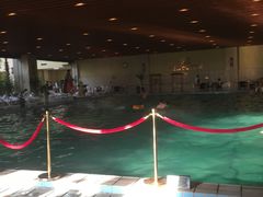 -哈尔滨太平湖温泉酒店