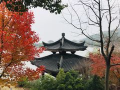 -孙武文化园-停车场