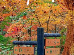 -共青国家森林公园-售票处