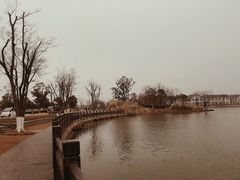 -上海长兴岛郊野公园