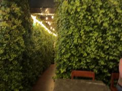 -顶层酒吧ROOF(上海艾迪逊酒店)