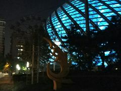 -凤凰中心