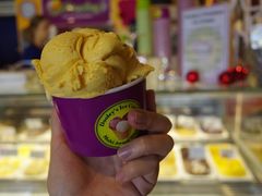 -Dooley's Premium Ice Cream