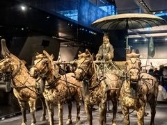 -秦始皇帝陵博物院-丽山园