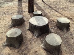 -日照海滨国家森林公园