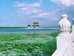 -呼兰河口湿地公园
