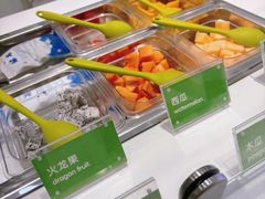 -Salud撒露欧洲冻酸奶(蓝色港湾店)