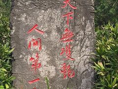 -洛阳市牡丹公园