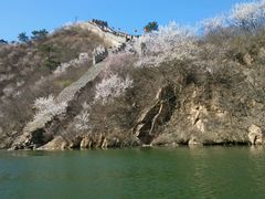 -辛玛王国游乐园