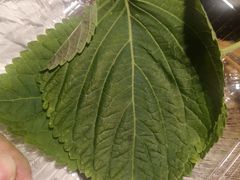 -新石器烤肉(中房金谊广场店)