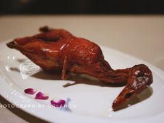 -翠府(翠湖北路店)