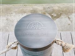 -深圳人才公园