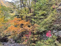 -凤凰山国家森林公园