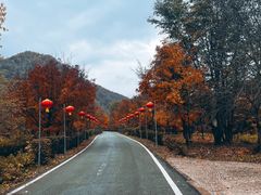 -三块石国家森林公园