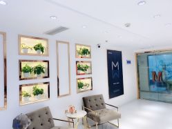 -MIVI野生眉纹绣纹眉