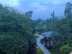 -成都安仁福朋喜来登酒店
