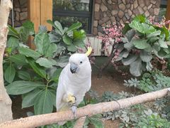 -南宫五洲植物乐园