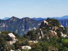 -六里坪国家森林公园