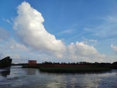 -芒洲湿地公园