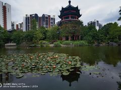 -岭南和园