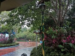 -美的鹭湖探索王国