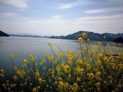 -杭州千岛湖皇冠假日酒店大堂吧