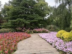 -上海滨江森林公园